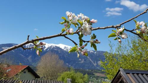 Hostal Fewo L�wenherz