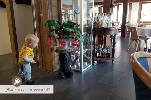 Hotel B�ren - The Place To Rest