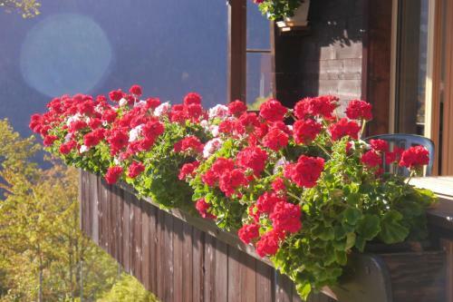 Apartamentos Chalet Acheregg