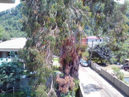 Hostal Guest House Machaxela