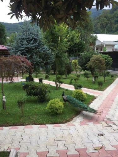 Vacation Home Nukri