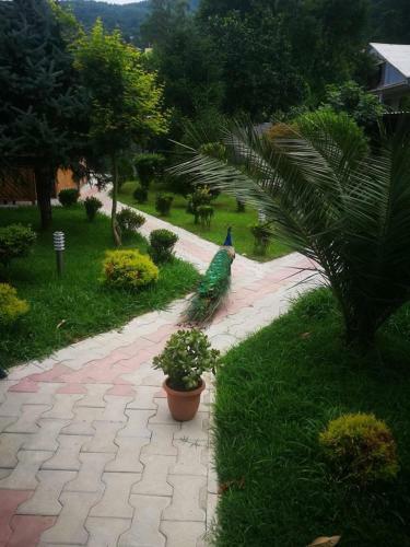 Vacation Home Nukri