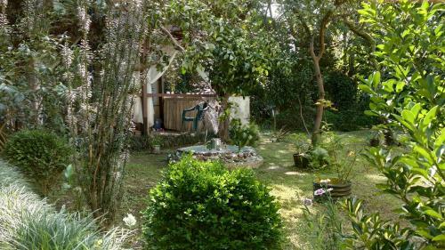 Hostal Guesthouse Green Oasis