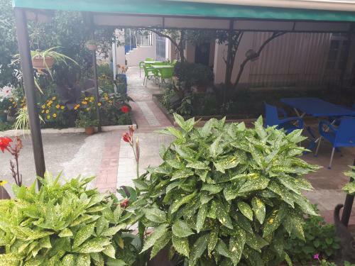 Hostal Guest House Roman/gonio