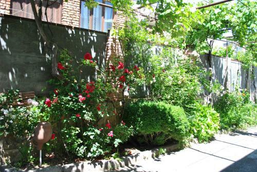 Hostal Tamar Guest House