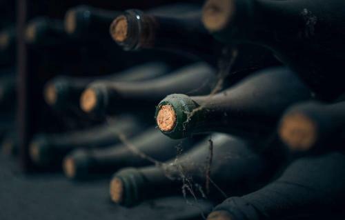 Gogi Dvalishvili Wine Cellar