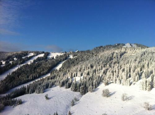Hotel Sportgasthof Lipp