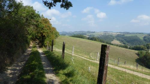 Hostal Genie�erpension Dopler - Zur Sch�nen Au
