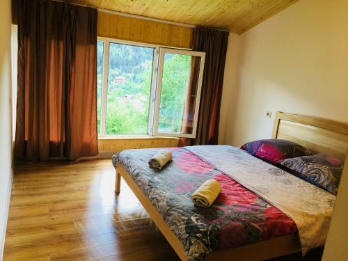 Hostal Nadia Guesthouse