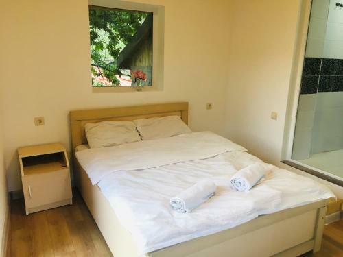 Hostal Nadia Guesthouse