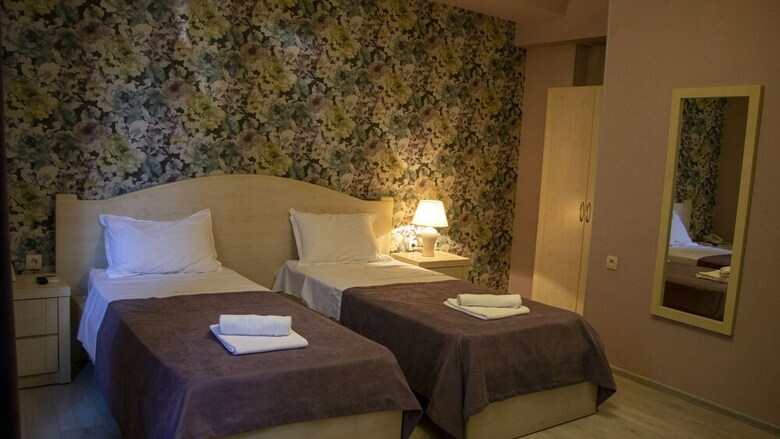 Hotel New Metekhi
