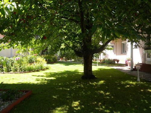 Apartment Siofok, Lake Balaton 6