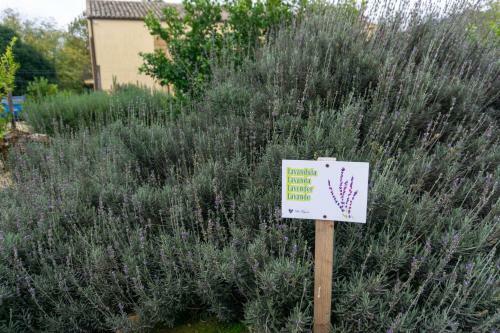 Agroturismo Villa Trigona