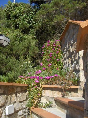 Apartamento Cota Quinta
