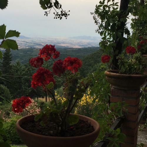 Agroturismo Casa Mazzoni