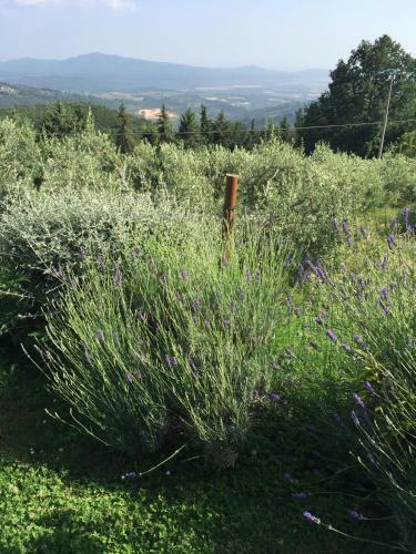 Agroturismo Casa Mazzoni