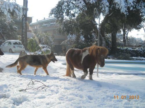 Bed & Breakfast Relais La Canfora
