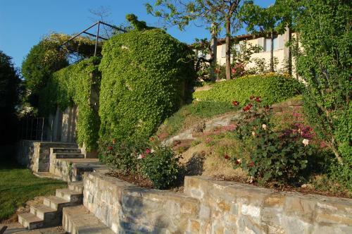 Agroturismo Il Pezzatino