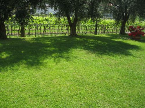 Apartamento Casa Carla