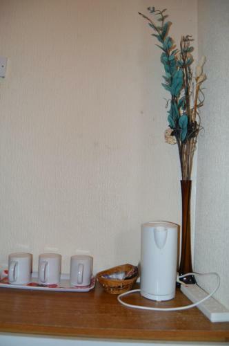 Hostal Fortuna House Hotel