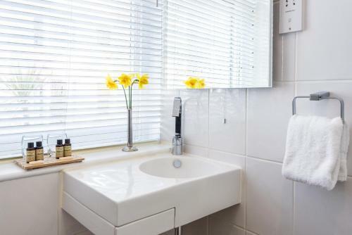 Bed & Breakfast Paskins Town House