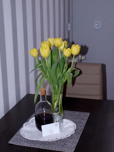 Apartamenty Vns