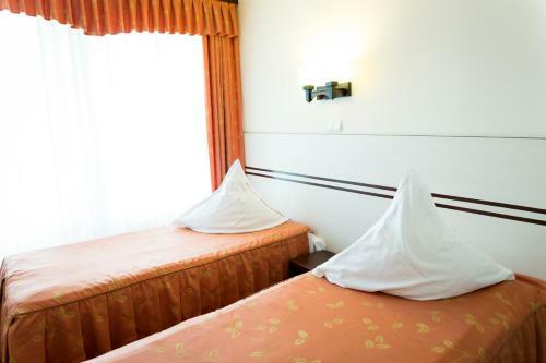 Hotel Zamca Suceava
