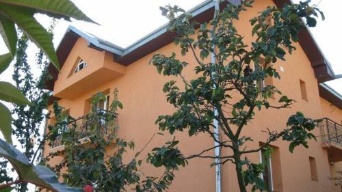 Lary Hostel