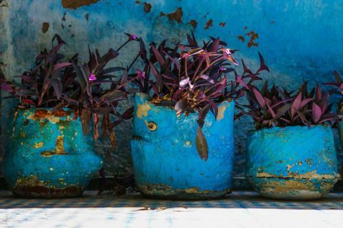 Riad Le Jardin Des Biehn