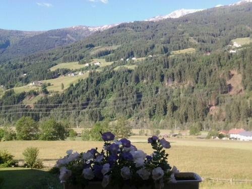 Apartamento Appartment Lukasser