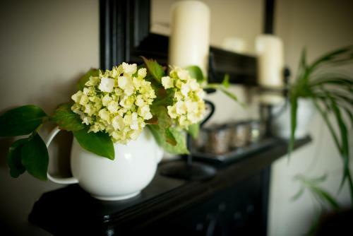 Bed & Breakfast Ballinsheen House