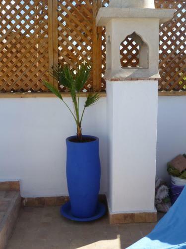 Riad Dar Daoud