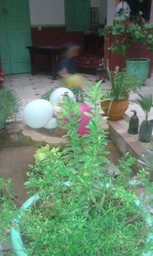Riad Dar Moughita