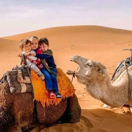 Bivouac Camel Trips