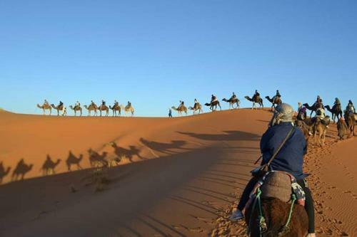 Bivouac Camel Trips