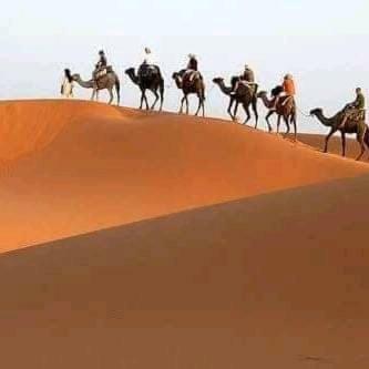 Bivouac Camel Trips
