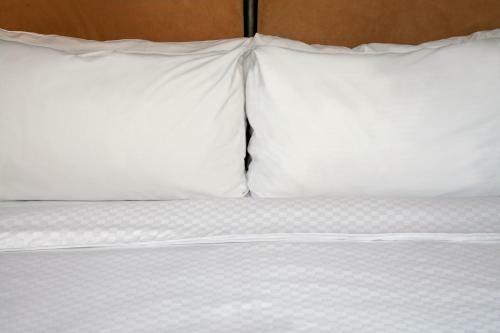 Hotel Four Points By Sheraton San Jose