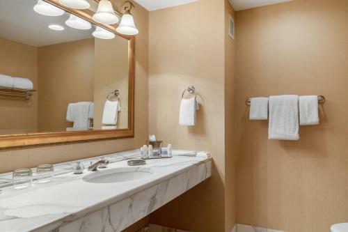 Omni Mandalay Hotel At Las Colinas