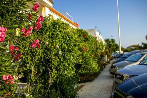 Apartments Kione Playa Romana Park