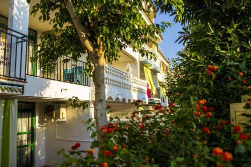 Apartments Kione Playa Romana Park