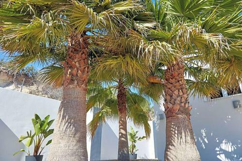 Cala Tarida Villa Sleeps 10 Pool Air Con Wifi