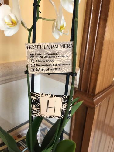 Apartamento Hotel La Palmera