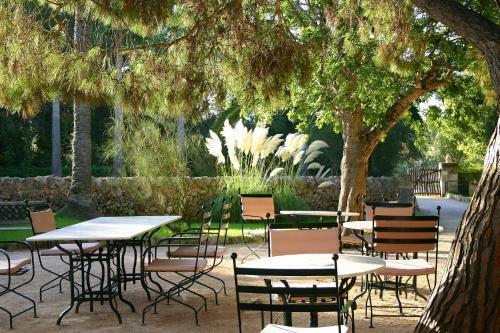 Petit Hotel Es Figueral