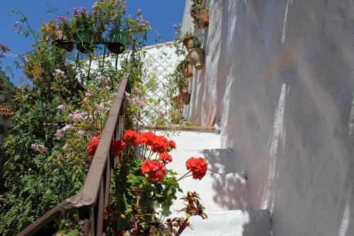 Apartamento El Patio De La Costurera
