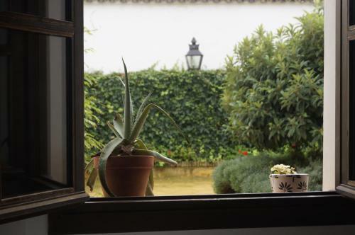 Apartamentos Los Patios De La Juder�a