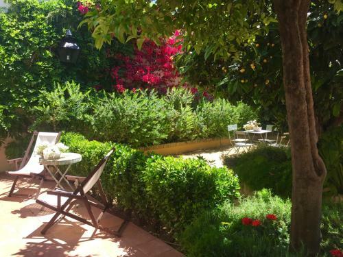 Apartamentos Los Patios De La Juder�a