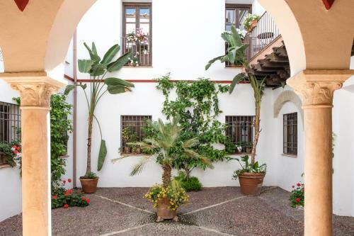 Apartamentos Los Patios De La Juder�a