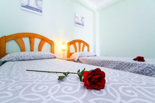Apartamento Dms Planet Costa Dorada
