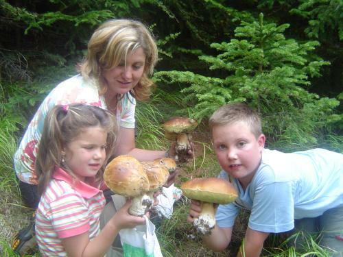 Agroturismo Gappmayrhof