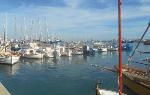 Three-bedroom Holiday Home In Miami Platja